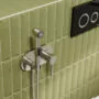 Wasserkraft Встраиваемый смеситель для душа с гигиенической лейкой Wern 4238 Никель